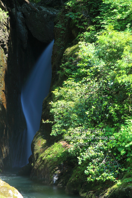 a0185598_14355123.jpg