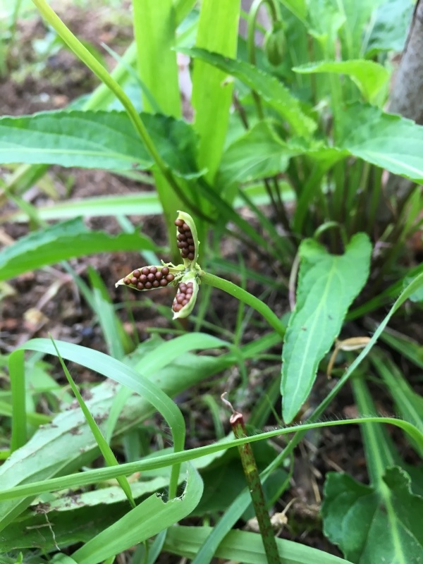 b0220002_23192555.jpeg