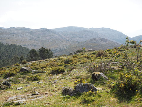 c0212604_21395174.jpg