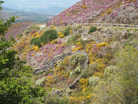 c0212604_21445827.jpg