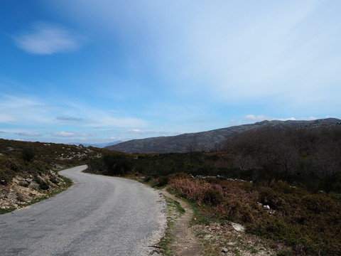 c0212604_2224032.jpg