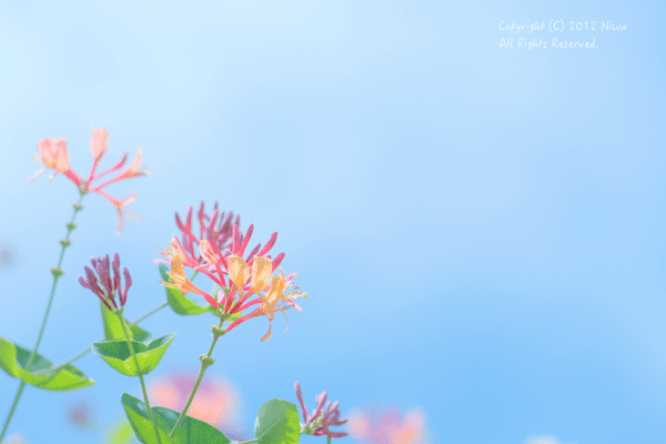 b0253706_19343872.png
