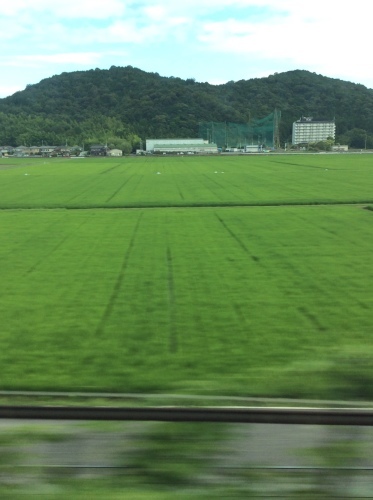 c0301808_07503792.jpeg