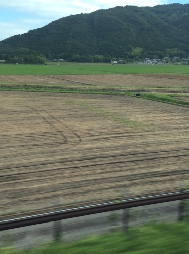 c0301808_07505259.jpeg