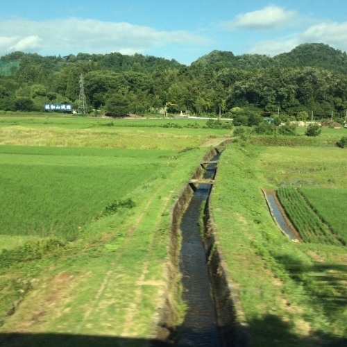 c0301808_07511387.jpeg