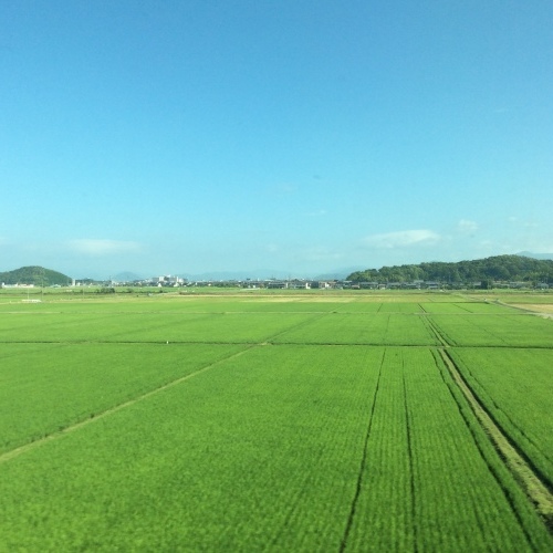 c0301808_07514934.jpeg