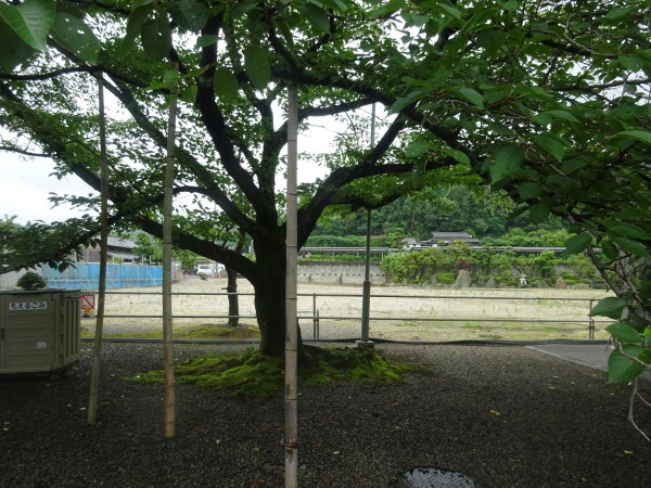 f0231709_00465777.jpg
