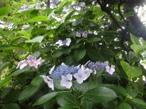 f0231709_00474361.jpg