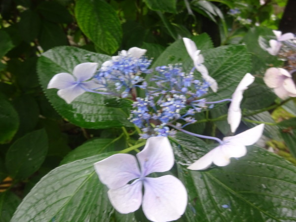 f0231709_00481653.jpg