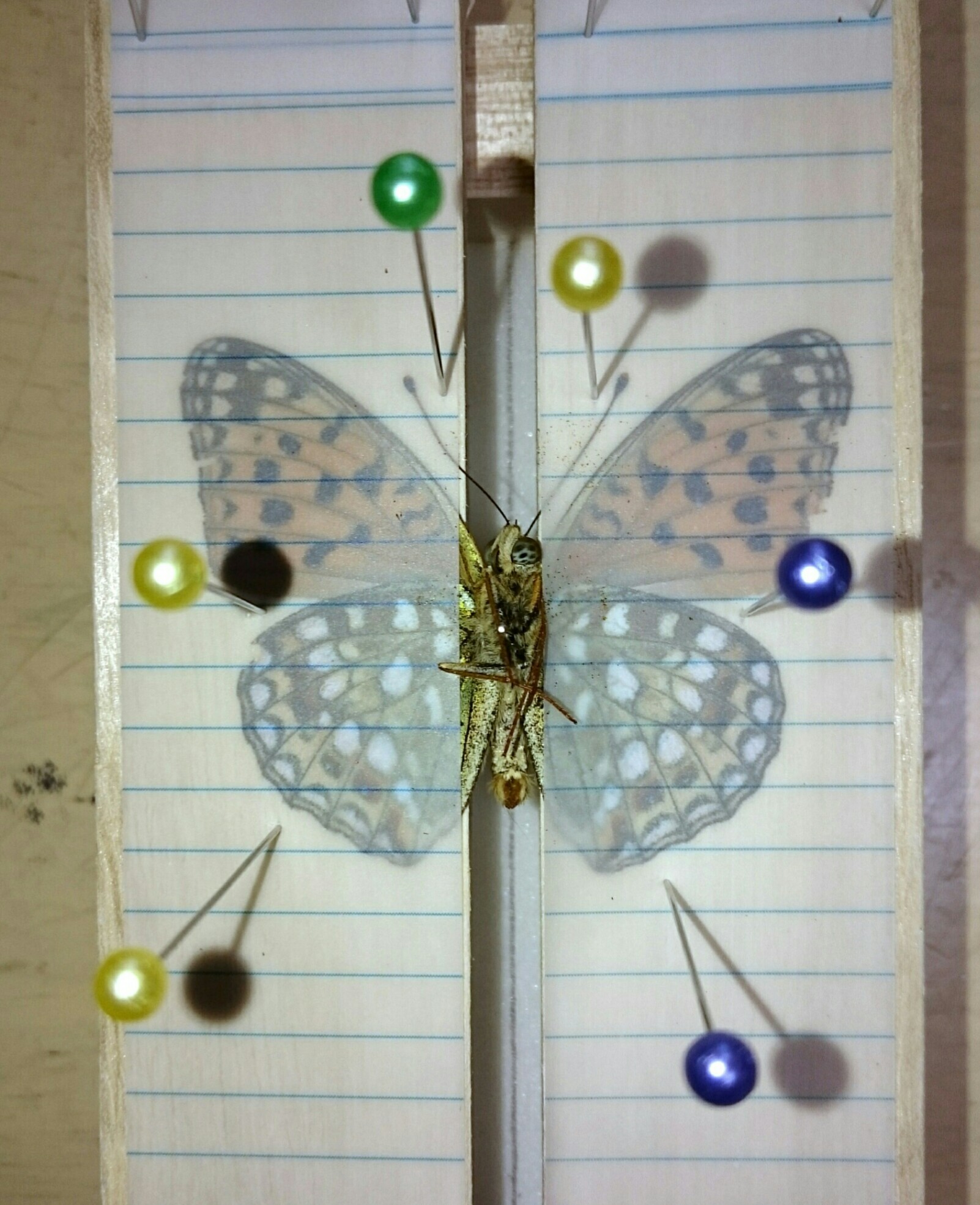 a0361610_19292215.jpg
