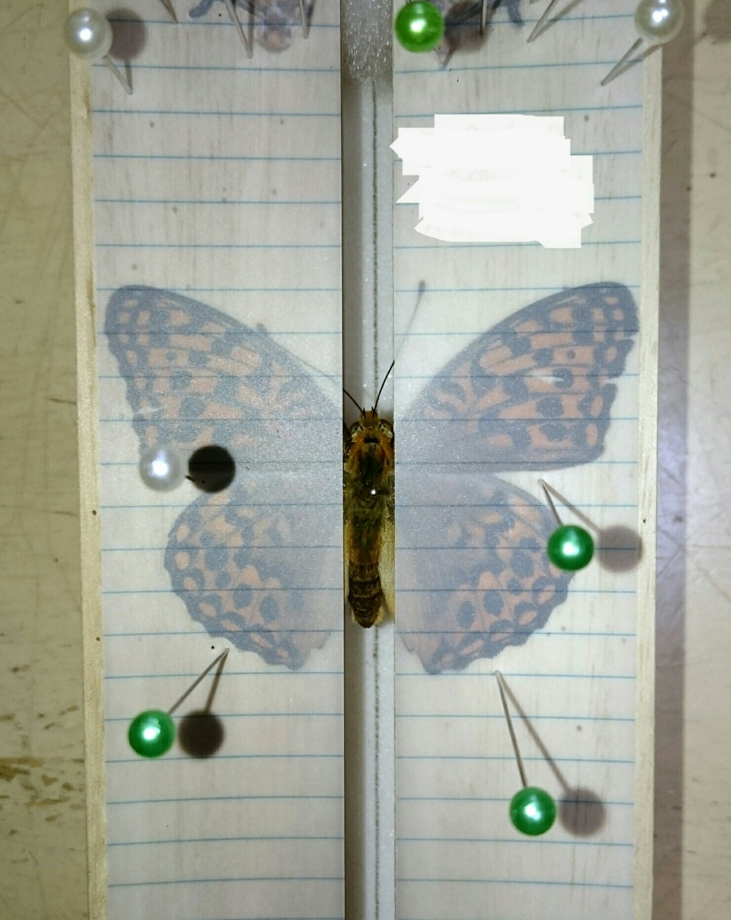 a0361610_19325356.jpg