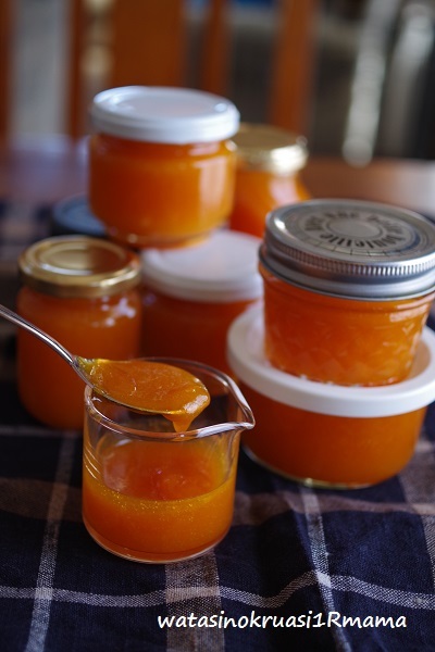 Confiture d\'abricots_c0365711_14195080.jpg