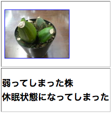 e0276411_00021468.png