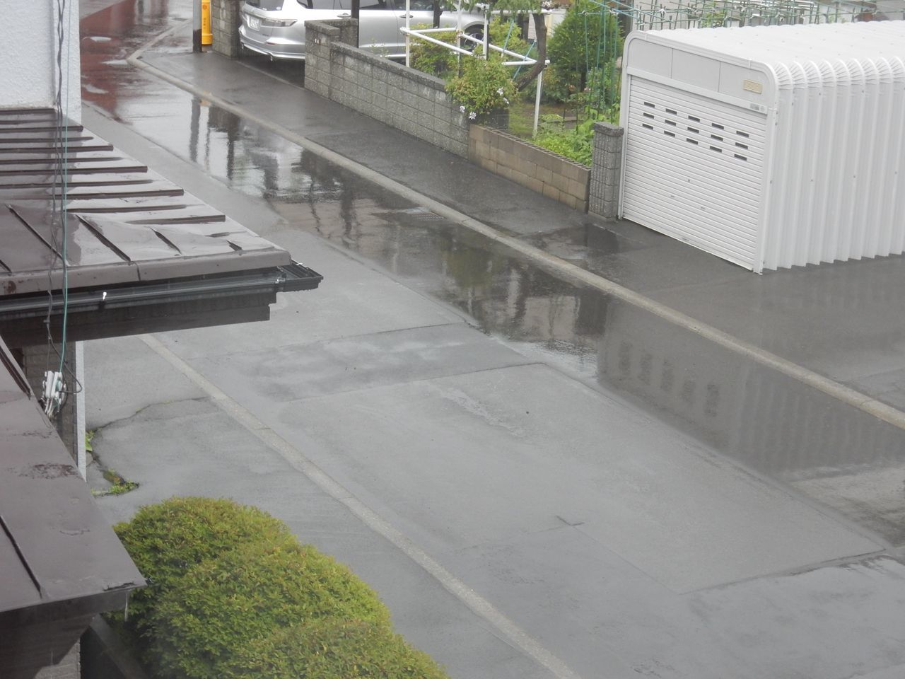 高温多湿で曇りの今日も午後から大雨_c0025115_21240501.jpg