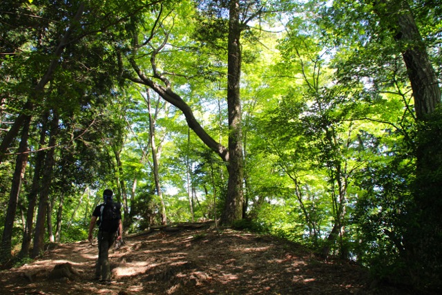 f0217617_1145880.jpg