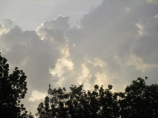 b0381325_19381623.jpg