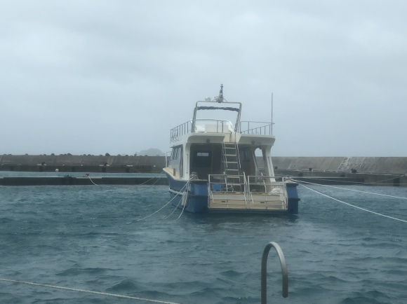 d0224927_18144092.jpeg