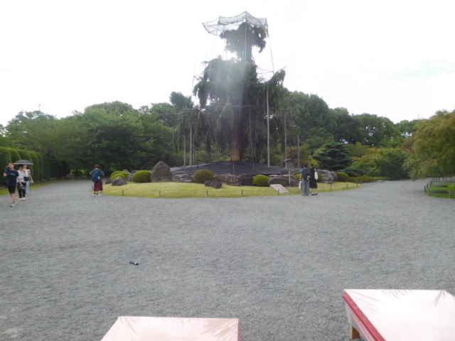 d0106134_21295837.jpg