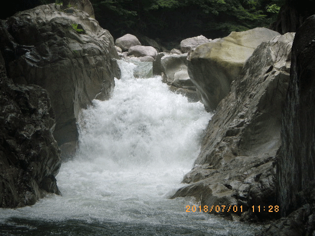 e0371039_22201665.gif