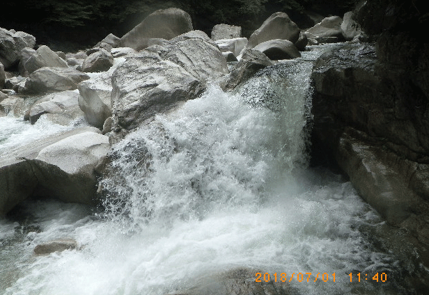 e0371039_2220225.gif
