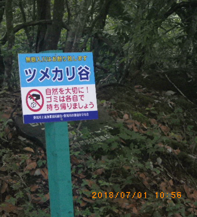 e0371039_22202561.gif