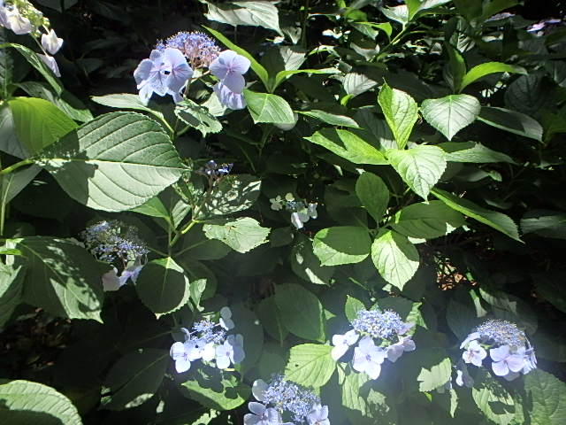 f0334143_8295461.jpg