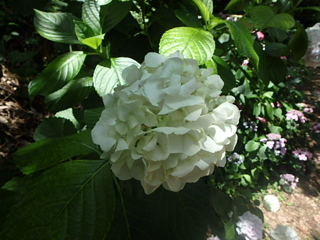 f0334143_8301163.jpg