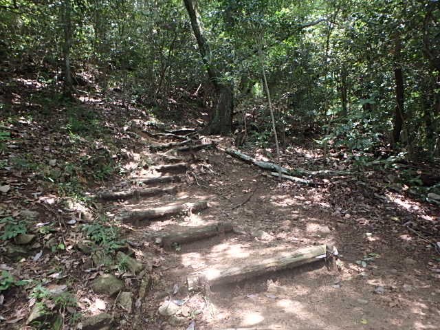 f0334143_8313914.jpg