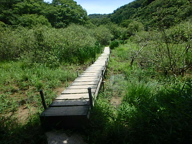 f0334143_8314848.jpg