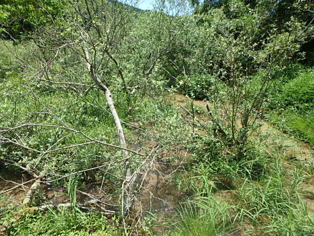 f0334143_8315570.jpg