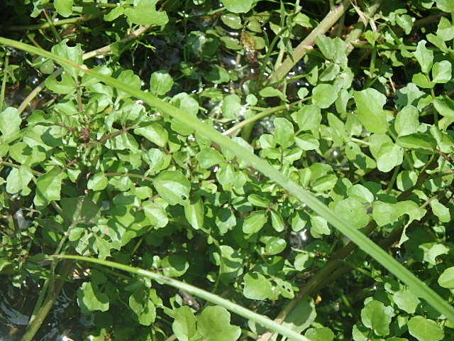 f0334143_833060.jpg