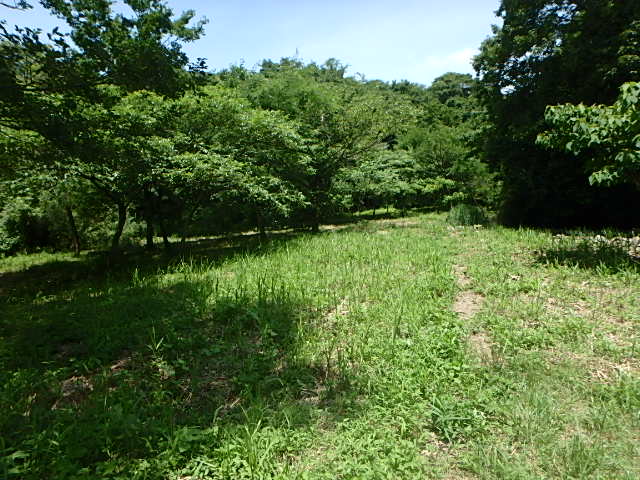 f0334143_8342037.jpg
