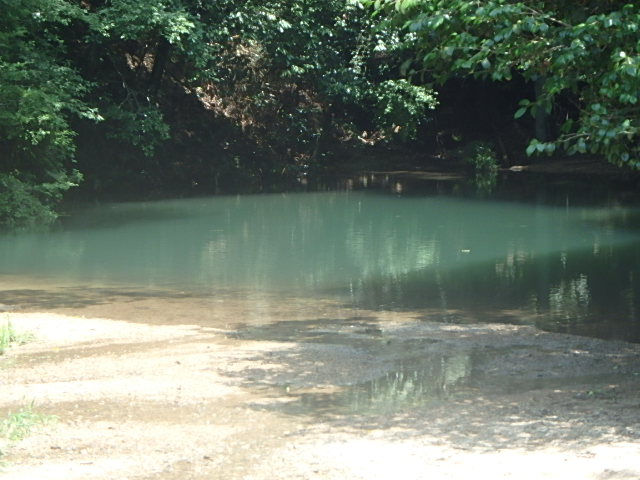 f0334143_8353082.jpg