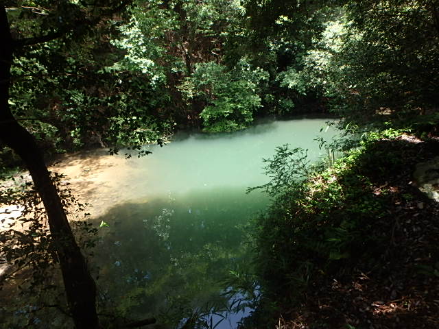 f0334143_8354769.jpg