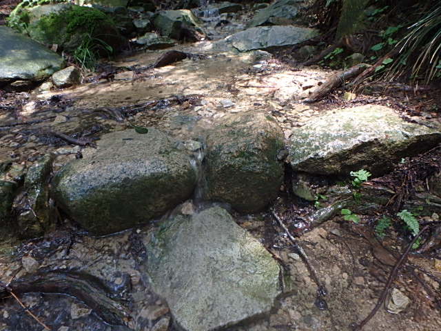 f0334143_8375842.jpg