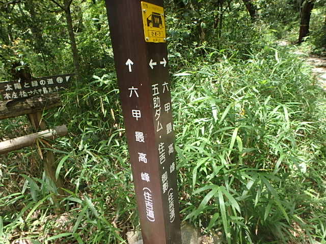 f0334143_8381443.jpg