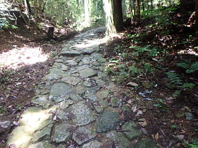 f0334143_838573.jpg