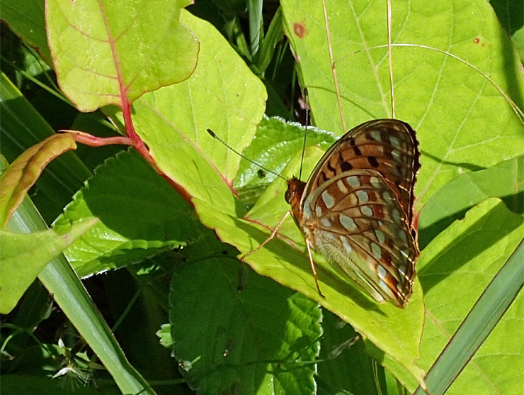 f0214649_04130883.jpg