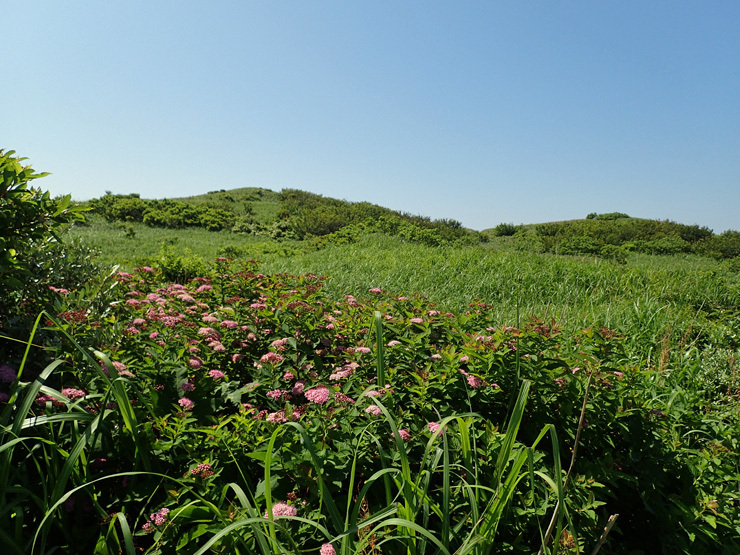 f0214649_04151125.jpg