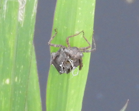 e0172950_2137288.jpg