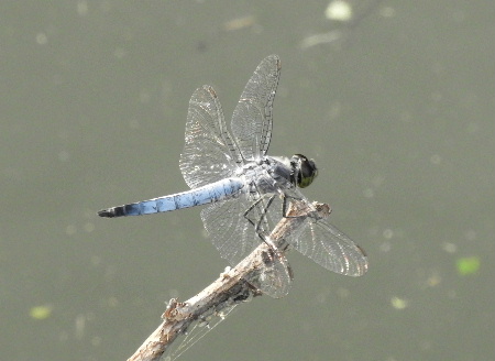 e0172950_21375794.jpg