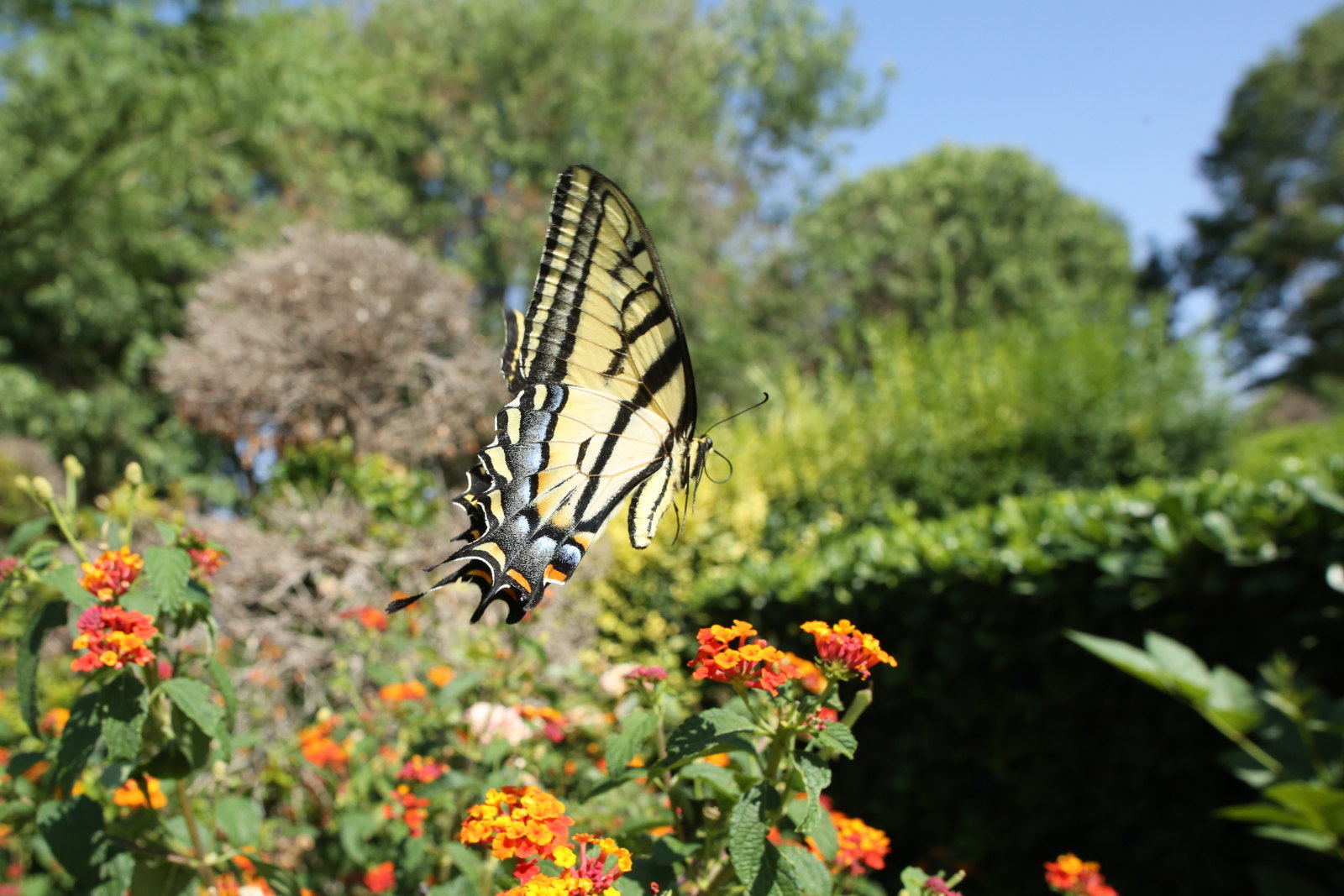 f0345350_12040438.jpg