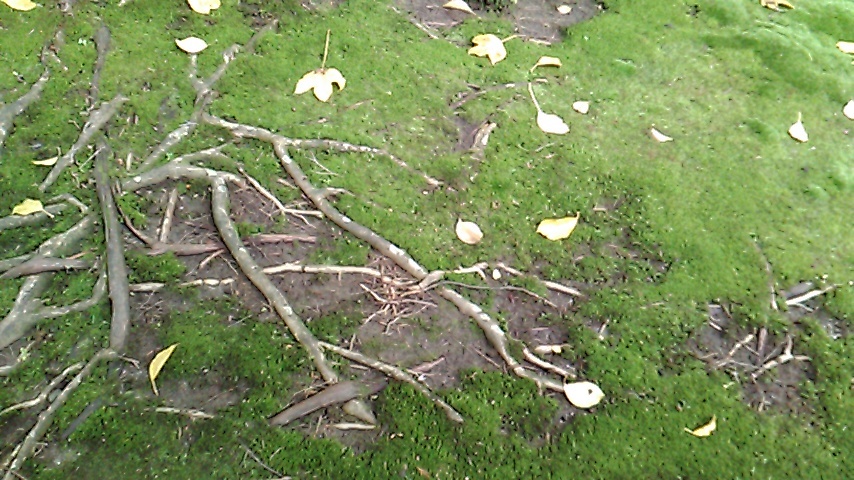 e0036151_09070367.jpg