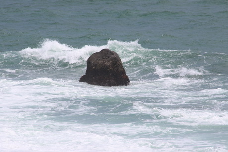 e0324053_23115555.jpg