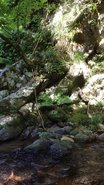 c0097754_10494007.jpg