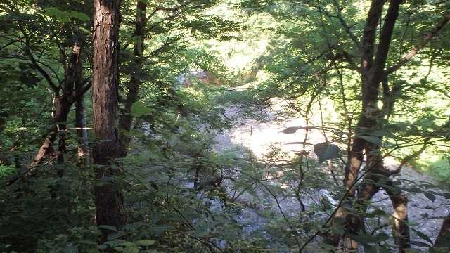 c0097754_10511776.jpg