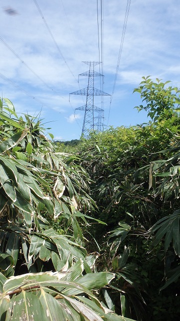 c0097754_11042188.jpg