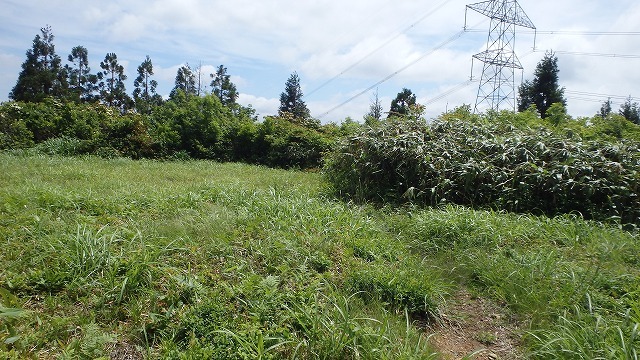 c0097754_11073856.jpg