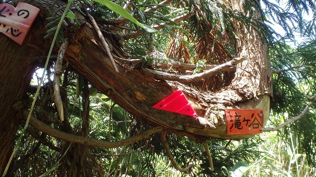 c0097754_11120868.jpg