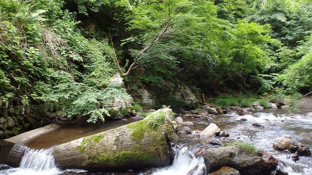 c0097754_11215979.jpg